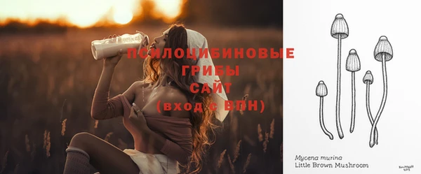 дмт Медногорск