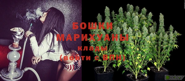 ПСИЛОЦИБИНОВЫЕ ГРИБЫ Аша