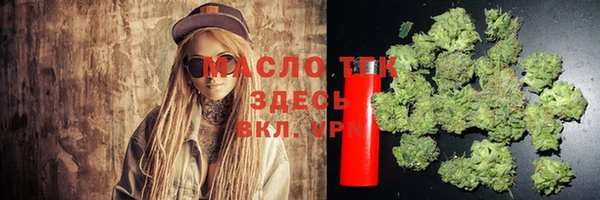 дмт Медногорск