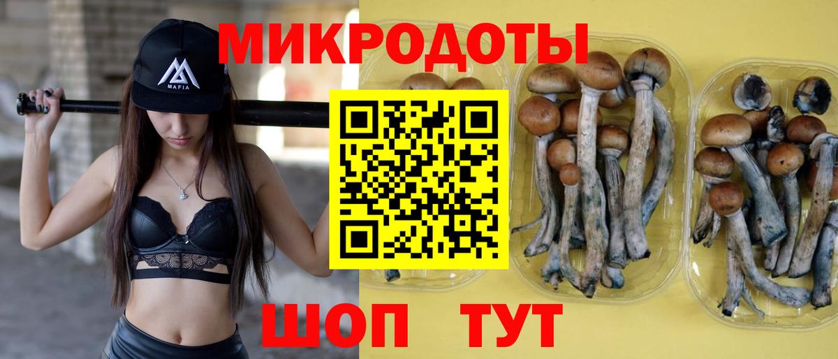 Псилоцибиновые грибы Cubensis Ханты-Мансийск