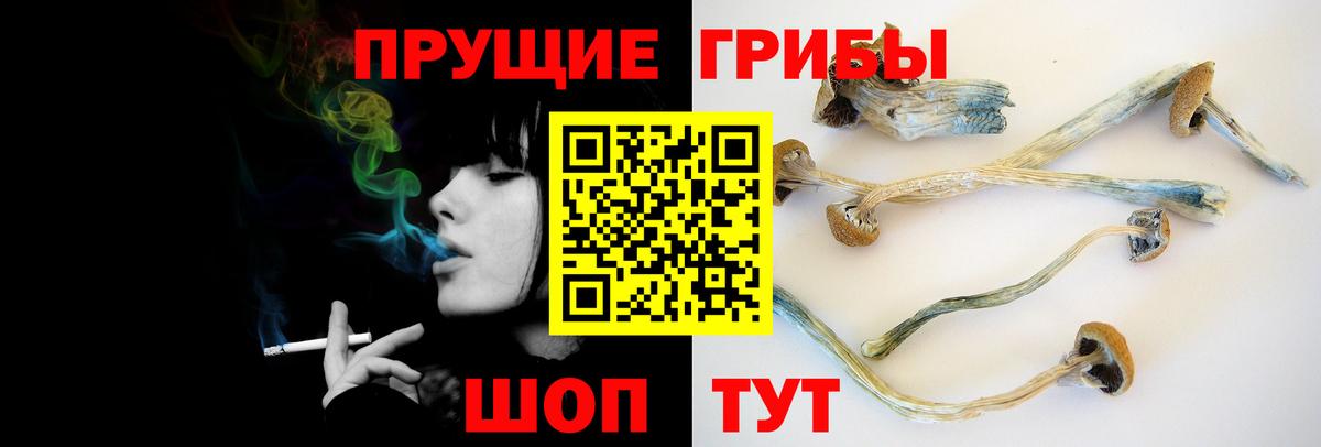Галлюциногенные грибы Magic Shrooms  как найти наркотики  Ханты-Мансийск  Псилоцибиновые грибы Cubensis 